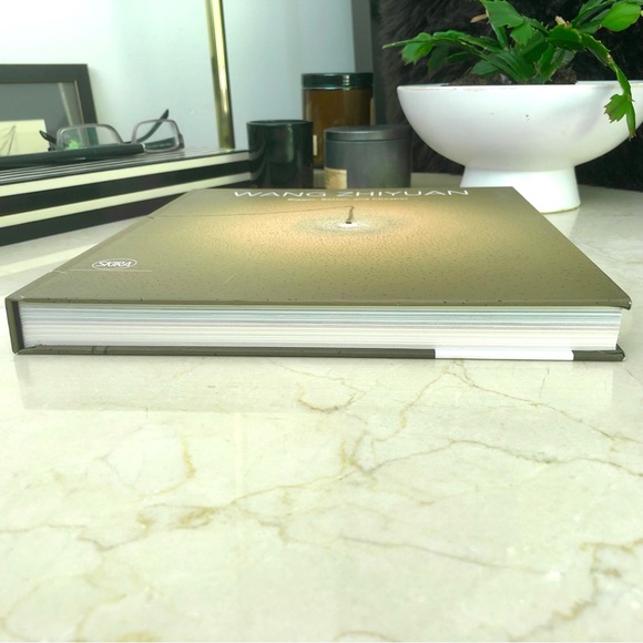 Contemporary Artist WANG ZHIYUAN Coffee Table Book Large Oversized Home Accent - Picture 12 of 16